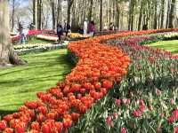 The Most Beautiful Spring Garden in the World
