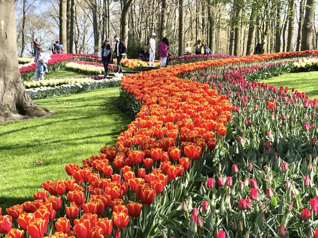 The Most Beautiful Spring Garden in the World