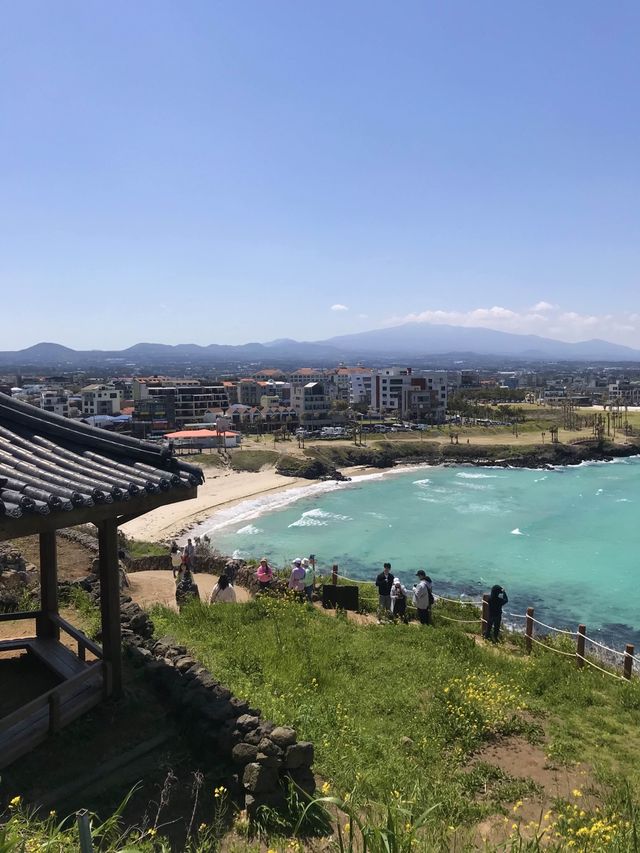 제주에서 행복만땅 충전! 서우봉⛰️🩵