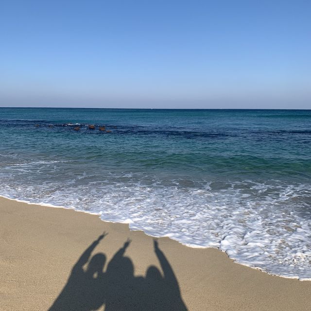 동해 바다 구경하기 좋은 강릉 강문해변🌊