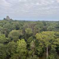 A memorable Mayan civilization and jungle experience at Tikal @ Guatemala 