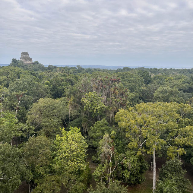 A memorable Mayan civilization and jungle experience at Tikal @ Guatemala 
