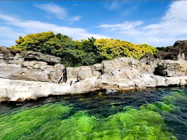 葛西臨海公園