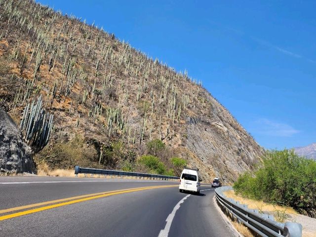 멕시코 Oaxaca 5박 6일 여행
