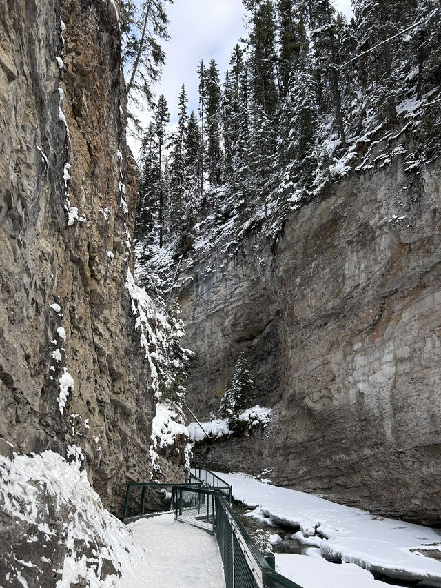 🇨🇦バンフの人気トレイル🏞️【ジョンストンキャニオン】で滝と渓谷を満喫