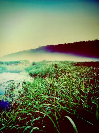Eyes in the Grass: Trusting Your Guide in Brazil’s Pantanal Jaguar Kingdom