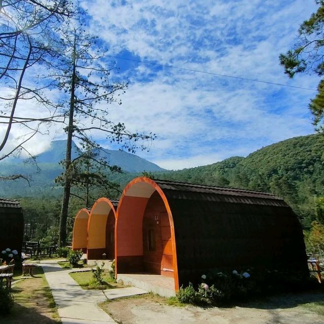 The Lawu Park