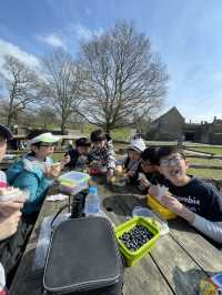 英國賞鹿公園 ｜諾爾莊園