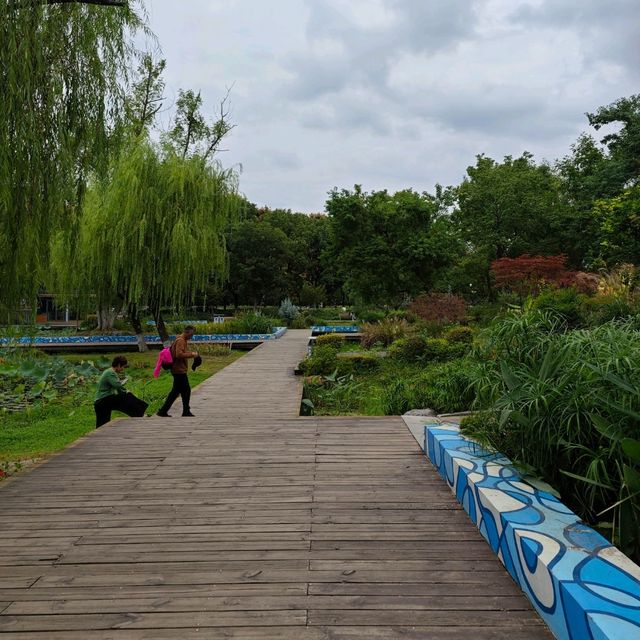 Xuanwu Lake: Lakeside Bliss.Family fun 