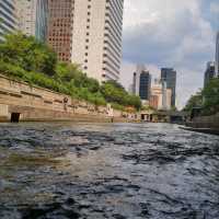 4 seasons are Cheonggyecheon ! 🌈