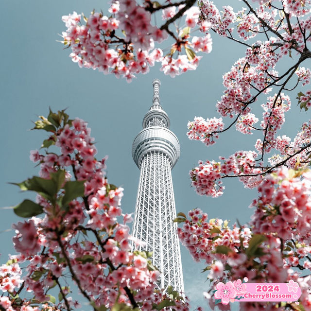 🌸 Cherry Blossoms in Japan: Friends and Petals 🌸