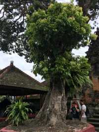 Ubud Palace in Bali Indonesia 🇮🇩 