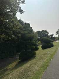 Unbelievable Topiary in a quaint seaside town.