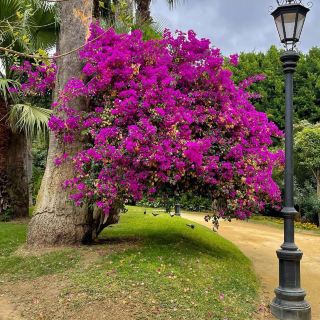 Parque Genovés 🇪🇸