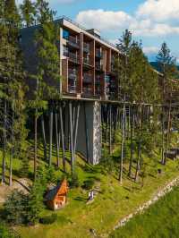 My Arbor - Plose Wellness Hotel