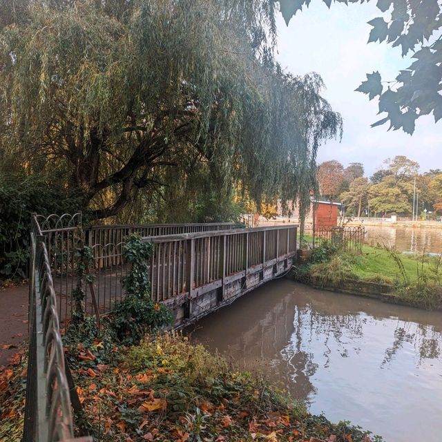 Autumn Vibes 🍂🍁🍂🍁🍂