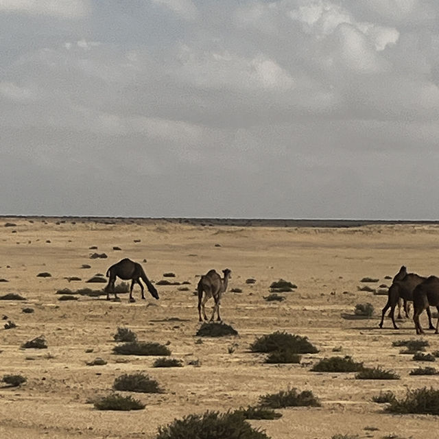 Egypt’s best desert destination 