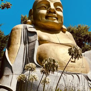 😲 The Huge Buddha Eden Garden in Portugal