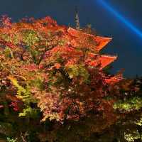 Autumn in Kyoto <3