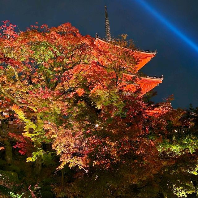 Autumn in Kyoto <3
