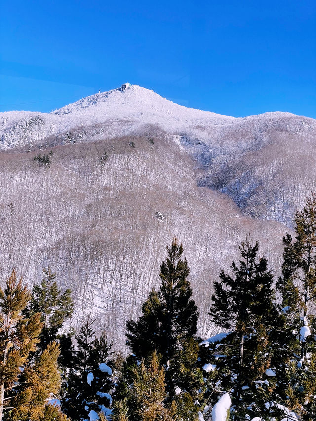 Tokyo to Yamagata Zao Onsen: The Perfect Getaway for Skiers & Non-Skiers Alike ❄️🏔️♨️