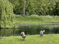 🌳 A Perfect Escape in Regent’s Park: London’s Green Oasis 🌿✨
