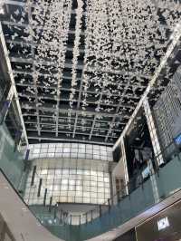 Dubai Mall - the Biggest One in the World 