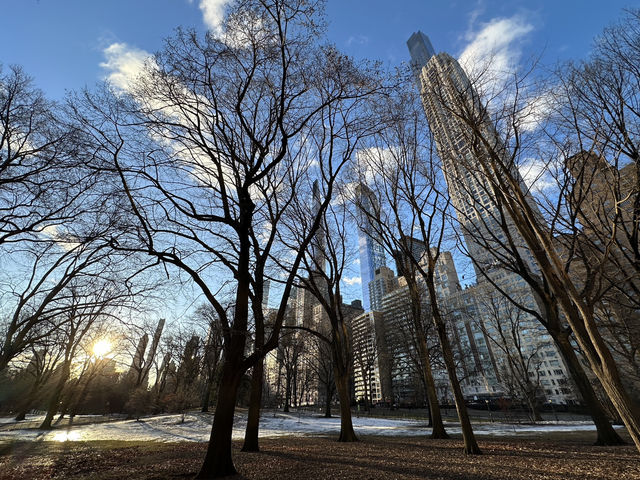 🌳 Central Park: NYC’s Green Heartbeat in Every Season 🗽🍂