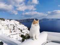 Santorini: Postcard Perfect in Every Direction