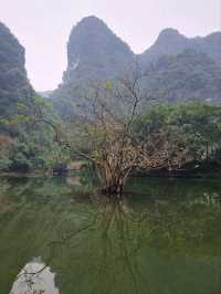 Ninh Binh Trang An 1 day comprehensive itinerary