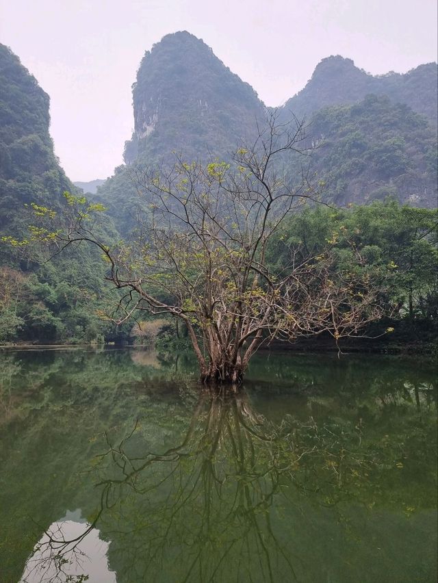 Ninh Binh Trang An 1 day comprehensive itinerary
