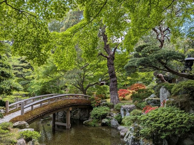 The Best 3 Days in Kyoto