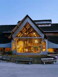 🏕️ Where to Stay in Yellowstone & Grand Teton National Parks 🛏️🌲