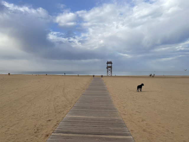 Sun, Sand, and Ryanair: A Summer Escape to Agadir