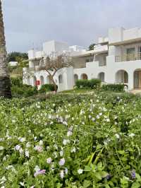 🌴 Sharm El Sheikh Vibes: One Week of Clear-Blue Relax & Walk-Everywhere Fun 