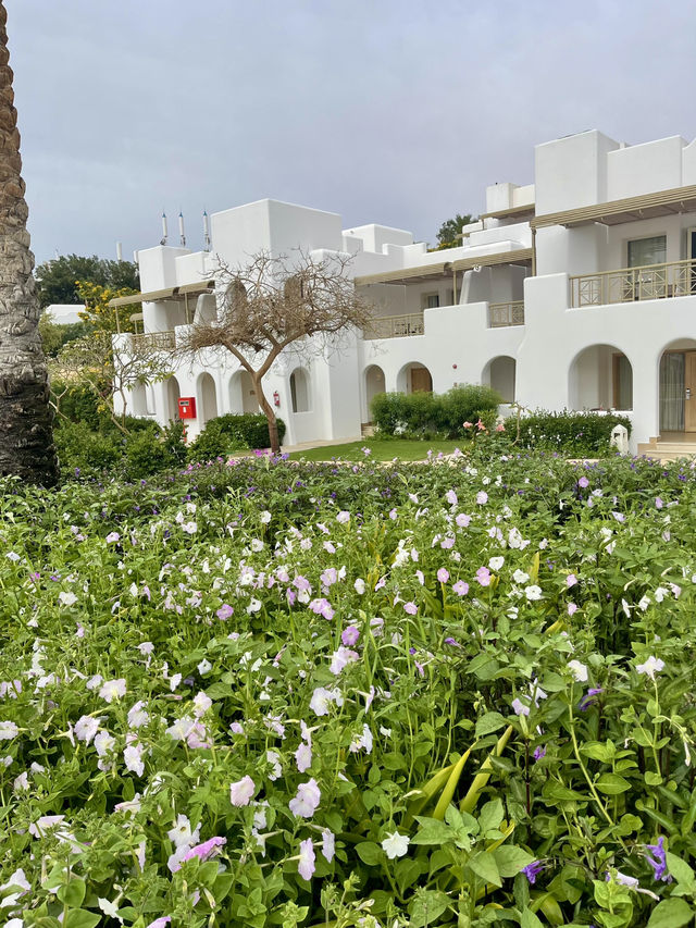 🌴 Sharm El Sheikh Vibes: One Week of Clear-Blue Relax & Walk-Everywhere Fun 