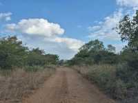 Zimbabwe - a perfect blend of family, culture, and nature.”