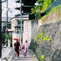 🚗 Ride-Sharing in Kyoto: Smart, Comfortable & Worth It (Sometimes!) ⛩️🌸