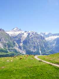 🏔️ รีวิว Grindelwald First – ประสบการณ์สุดขอบฟ้า