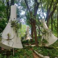 Little parks in Shanghai, little water worlds in the heart of the city
