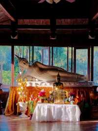 Wat Tham Khao Wong – A Tranquil Forest Temple Amidst Nature