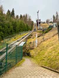 Above the trees, beyond the ordinary — welcome to Skywalk Willingen 🇩🇪🌉🌲
