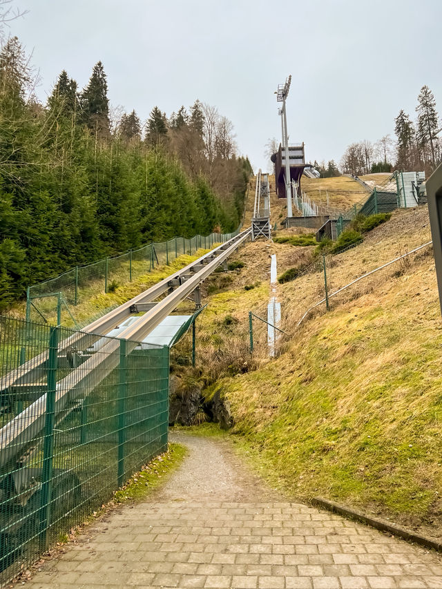 Above the trees, beyond the ordinary — welcome to Skywalk Willingen 🇩🇪🌉🌲