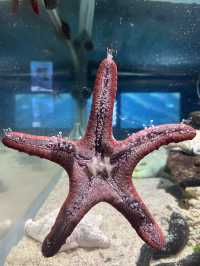 Durban Day Trip Itinerary