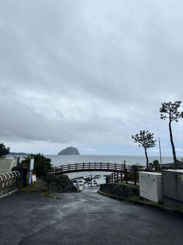  Top Things to Do in Seogwipo, Jeju 🌊