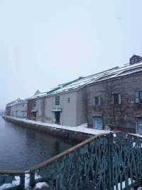 ❄️ Winter Magic in Otaru & Otaru Tenguyama 🏔️🎐