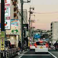 Tokyo’s Green Escape: Nature Spots in the City