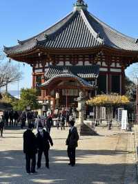 Step into Nara’s Spiritual Heart: Discover Kōfuku-ji’s Timeless Treasures 