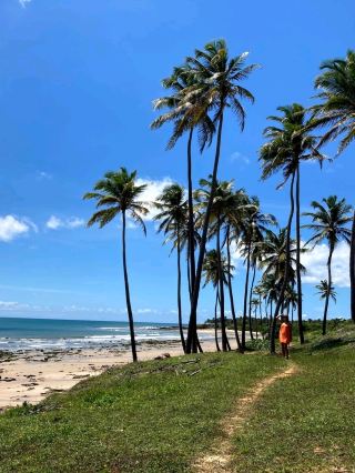 🏝️ Beaches of Ceará: Sun, Sand and Serenity
