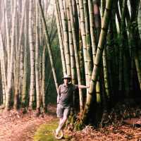 Bali on a Budget: Nature’s Hidden Paradise